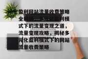 盈利网站流量收费策略全解析，多元化盈利模式下的流量变现之道，流量变现攻略，揭秘多元化盈利模式下的网站流量收费策略