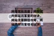 网站优化流量，揭秘提升网站访客量的秘诀，网站流量翻倍攻略，揭秘高效访客增长秘诀