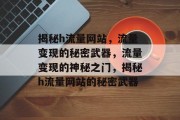 揭秘h流量网站，流量变现的秘密武器，流量变现的神秘之门，揭秘h流量网站的秘密武器