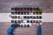 网站购买流量的秘密，如何精准定位，实现高效转化，揭秘网站流量购买技巧，精准定位与高效转化之道