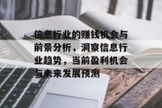 信息行业的赚钱机会与前景分析，洞察信息行业趋势，当前盈利机会与未来发展预测