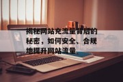 揭秘网站充流量背后的秘密，如何安全、合规地提升网站流量