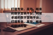 打造专业、高效、精准的数字营销平台，构建卓越的数字营销平台，打造专业、高效、精准的解决方案