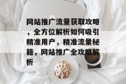 网站推广流量获取攻略，全方位解析如何吸引精准用户，精准流量秘籍，网站推广全攻略解析
