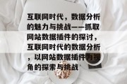 互联网时代，数据分析的魅力与挑战——抓取网站数据插件的探讨，互联网时代的数据分析，以网站数据插件为视角的探索与挑战