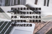 网站流量费用提取策略，高效获取流量的秘密武器，揭秘网站流量高效获取策略，流量费用提取的秘密武器