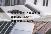 中微公司：上半年归母净利润7.06亿元，同比增长36.62%