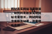 揭秘真实网站流量联盟，如何利用联盟实现网站流量增长，揭秘网站流量联盟秘密，流量增长之道