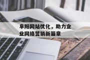 阜阳网站优化，助力企业网络营销新篇章