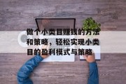 做个小类目赚钱的方法和策略，轻松实现小类目的盈利模式与策略