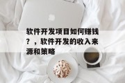 软件开发项目如何赚钱？，软件开发的收入来源和策略