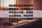 揭秘看网站流量的神奇网站地址，如何轻松追踪网站访问量，追踪网站流量秘籍，揭秘神奇网站地址与轻松访问量统计方法