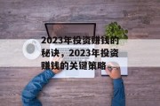 2023年投资赚钱的秘诀，2023年投资赚钱的关键策略