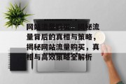 网站流量购买，揭秘流量背后的真相与策略，揭秘网站流量购买，真相与高效策略全解析