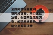 全国网站流量查询，洞察网络世界，助力企业决策，全国网站流量洞察，解码网络趋势，赋能企业智慧决策