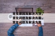 常见原因及解决方法，常见问题及解决方案，常见问题及解决方案