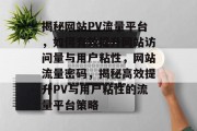 揭秘网站PV流量平台，如何有效提升网站访问量与用户粘性，网站流量密码，揭秘高效提升PV与用户粘性的流量平台策略