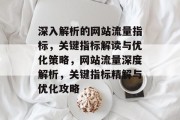 深入解析的网站流量指标，关键指标解读与优化策略，网站流量深度解析，关键指标精解与优化攻略