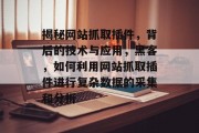 揭秘网站抓取插件，背后的技术与应用，黑客，如何利用网站抓取插件进行复杂数据的采集和分析