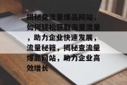 揭秘查流量爆品网站，如何轻松获取海量流量，助力企业快速发展，流量秘籍，揭秘查流量爆品网站，助力企业高效增长