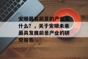 安顺最有前景的产业是什么？，关于安顺未来最具发展前景产业的研究报告