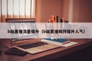 b站直播流量提升（b站直播如何提升人气）