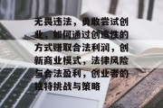无畏违法，勇敢尝试创业，如何通过创造性的方式赚取合法利润，创新商业模式，法律风险与合法盈利，创业者的独特挑战与策略