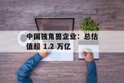 中国独角兽企业：总估值超 1.2 万亿