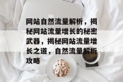 网站自然流量解析，揭秘网站流量增长的秘密武器，揭秘网站流量增长之道，自然流量解析攻略