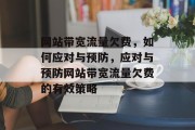 网站带宽流量欠费，如何应对与预防，应对与预防网站带宽流量欠费的有效策略