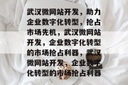 武汉微网站开发，助力企业数字化转型，抢占市场先机，武汉微网站开发，企业数字化转型的市场抢占利器，武汉微网站开发，企业数字化转型的市场抢占利器