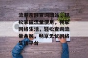 流量余额查询网站，轻松掌握流量使用，畅享网络生活，轻松查询流量余额，畅享无忧网络生活平台