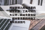 揭秘查别人网站流量的秘密武器，工具与技巧大公开，网站流量探秘，揭秘查流量的终极工具与实战技巧