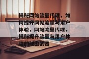 揭秘网站流量代理，如何提升网站流量与用户体验，网站流量代理，揭秘提升流量与用户体验的秘密武器