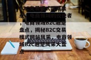 B2C交易模式网站盘点，电商领域的佼佼者，电商领域B2C翘楚盘点，揭秘B2C交易模式网站风采，电商领域B2C翘楚风采大盘点