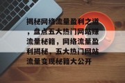 揭秘网络流量盈利之道，盘点五大热门网站赚流量秘籍，网络流量盈利揭秘，五大热门网站流量变现秘籍大公开