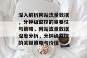 深入解析网站流量数据，分钟级监控的重要性与策略，网站流量数据深度分析，分钟级监控的关键策略与价值
