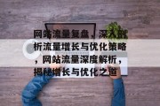 网站流量复盘，深入剖析流量增长与优化策略，网站流量深度解析，揭秘增长与优化之道