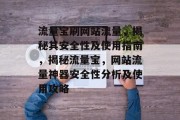 流量宝刷网站流量，揭秘其安全性及使用指南，揭秘流量宝，网站流量神器安全性分析及使用攻略