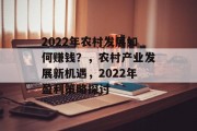 2022年农村发展如何赚钱？，农村产业发展新机遇，2022年盈利策略探讨