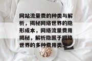 网站流量费的种类与解析，揭秘网络世界的隐形成本，网络流量费用揭秘，解析隐匿于网络世界的多种费用类型