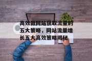 高效做网站获取流量的五大策略，网站流量增长五大高效策略揭秘