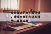 商贸领域的商机和挑战,跨境电商的机遇与挑战,商业洞察