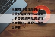 揭秘刷抖音流量网站，流量背后的秘密与风险，抖音流量网站流量秘密大揭秘，风险与真相全解析