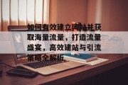 如何有效建立网站并获取海量流量，打造流量盛宴，高效建站与引流策略全解析