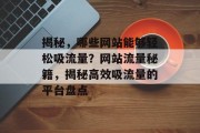 揭秘，哪些网站能够轻松吸流量？网站流量秘籍，揭秘高效吸流量的平台盘点