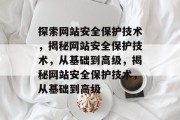 探索网站安全保护技术，揭秘网站安全保护技术，从基础到高级，揭秘网站安全保护技术，从基础到高级