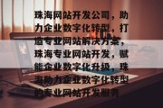 珠海网站开发公司，助力企业数字化转型，打造专业网站解决方案，珠海专业网站开发，赋能企业数字化升级，珠海助力企业数字化转型的专业网站开发服务
