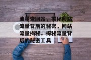 流量查网站，揭秘网站流量背后的秘密，网站流量揭秘，探秘流量背后的秘密工具