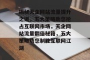 揭秘天企网站流量提升之道，五大策略助您抢占互联网市场，天企网站流量翻倍秘籍，五大策略助您制胜互联网江湖